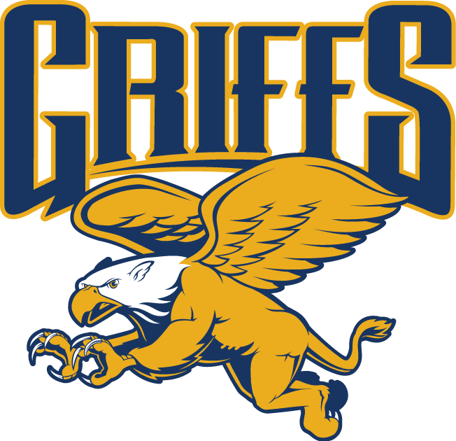 Canisius Golden Griffins 2006-Pres Alternate Logo v2 diy iron on heat transfer`